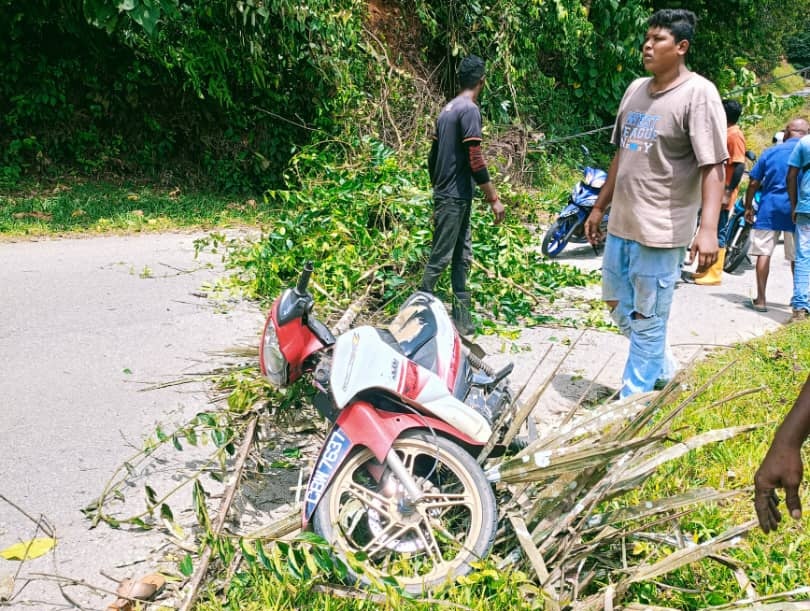 Dua beranak nyaris maut motosikal dihempap pokok sawit tumbang di Benta, Lipis