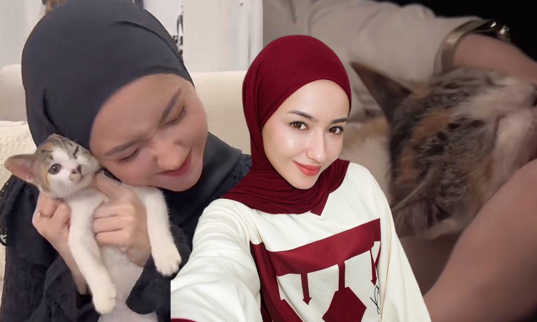 Pernah selamatkan kucing terbiar, Hannah Delisha sokong kempen ‘adopt don’t shop’