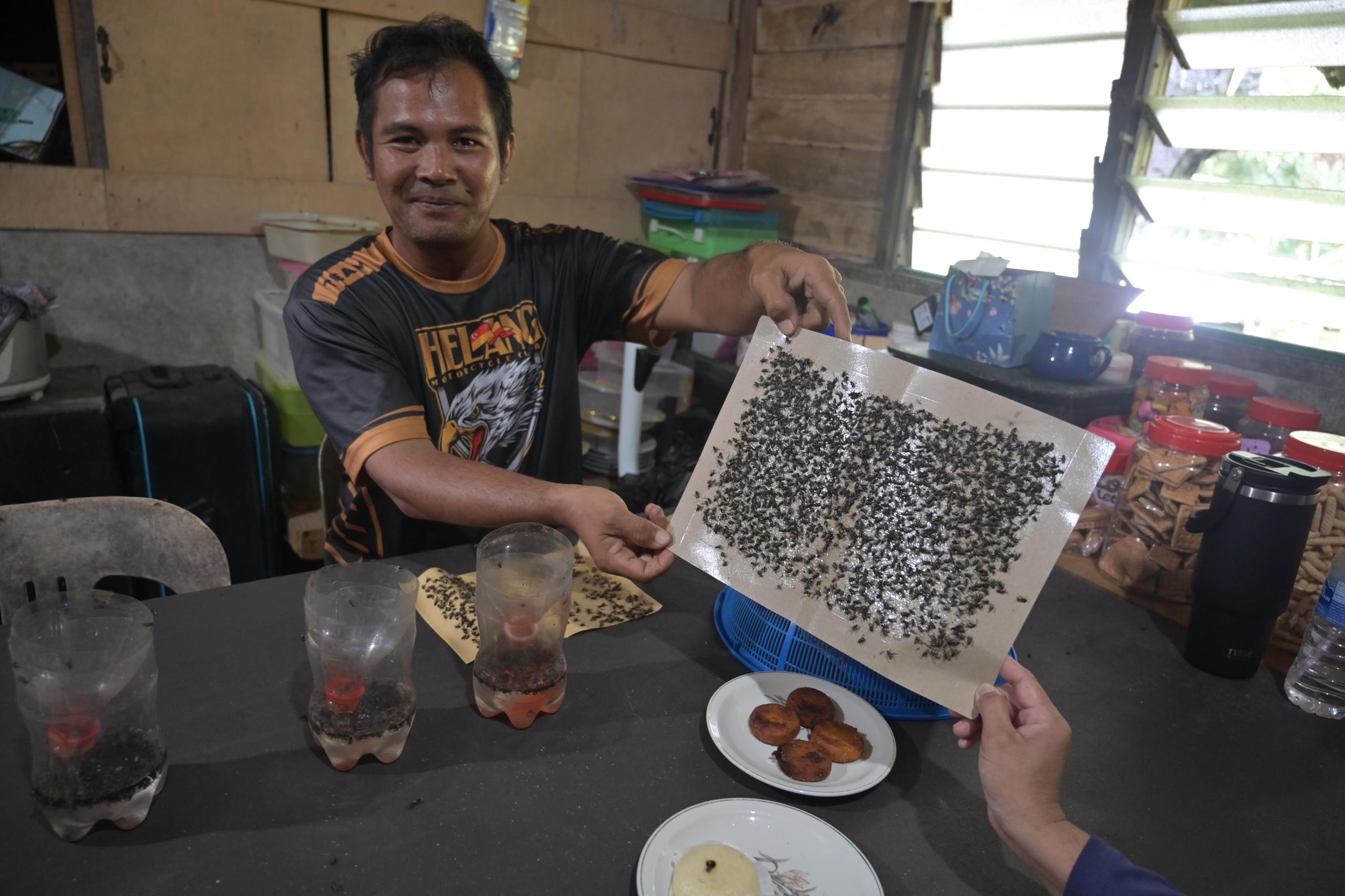 ‘Tiga tahun makan, minum, tidur dengan lalat’