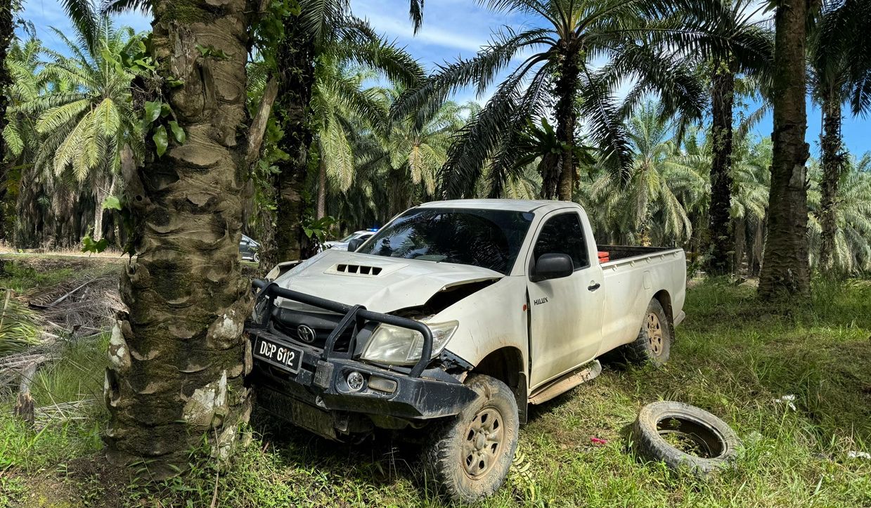 Maut rempuh pokok akibat serangan jantung semasa memandu