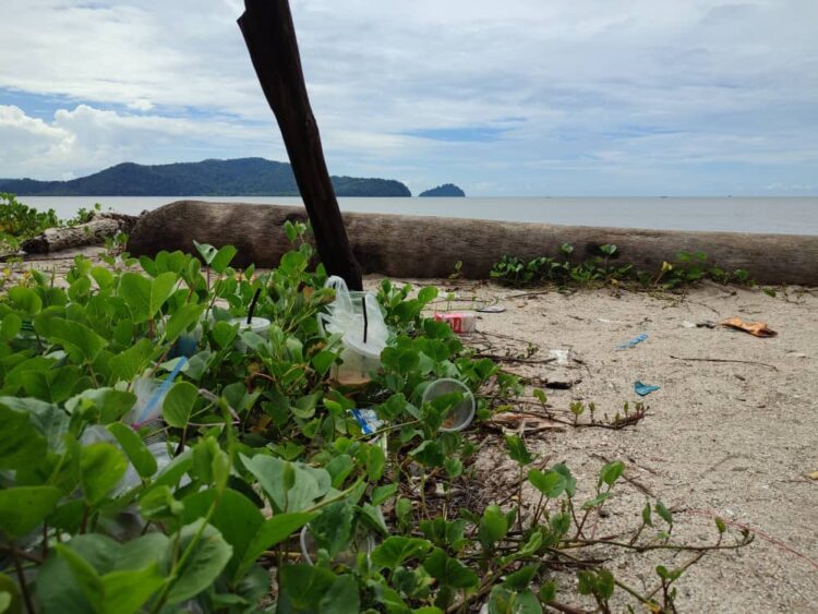 Pantai Tanjung Dawai Dicemari Sampah Sarap Utusan Malaysia