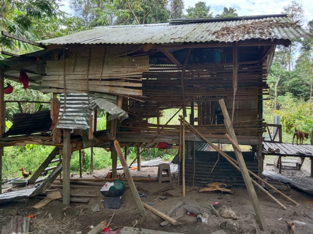 Rumah Lama Hampir Roboh Diceroboh Gajah Liar Di Kampung Simoi Lama