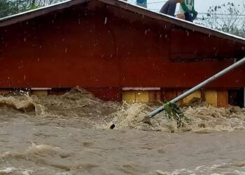 PENDUDUK berlindung atas bumbung rumah ketika banjir yang diakibatkan Taufan Goni melanda Daraga, wilayah Albay, Filipina. - AFP