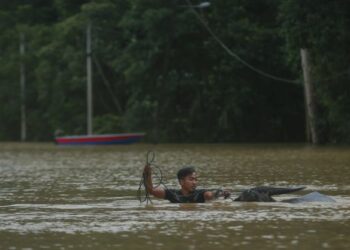 SEORANG penduduk membawa kerbaunya meredah banjir di Kampung Minda di Dungun, semalam. - PUQTRA HAIRRY ROSLI