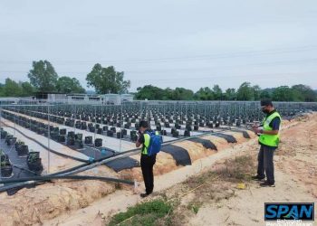 SPAN potong bekalan air di tapak semaian cili di Semenyih semalam kerana guna bekalan air tidak sah.