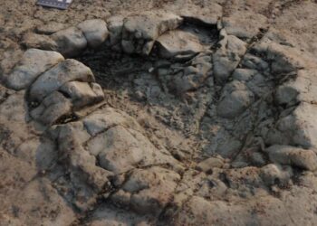 GAMBAR 3D tapak kaki yang ditemukan di sebuah pantai di Wales. - NHM LONDON