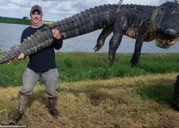 DOUG Borries menangkap buaya seberat 410 kilogram dan sepanjang empat meter. - FACEBOOK DYNAMICOUTDOORTV