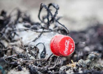 BOTOL minuman Coca-Cola yang dibuang di sebuah pantai di Mull, Scotland. - AGENSI