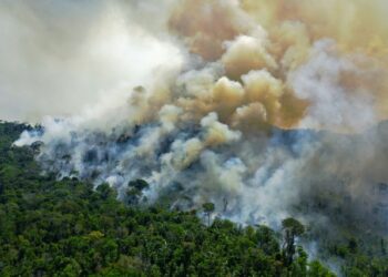 GAMBAR pemandangan udara pada Ogos tahun lalu menunjukkan kawasan hutan hujan Amazon di selatan Novo Progresso di Para, Brazil terbakar. - AFP