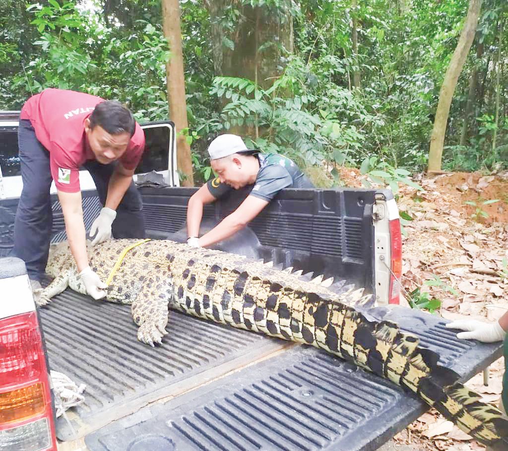 Sang Bedal Mati Tersangkut Pukat Nelayan