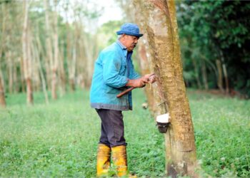 LEBIH 30,000 pemohon melibatkan kategori individu, petani dan pekebun kecil komoditi diluluskan untuk menerima bantuan subsidi tunai di bawah inisiatif Budi Madani pada 10 Jun ini.