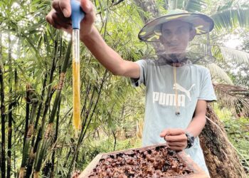 ZOLKEFLI Rashid menunjukkan hasil madu yang diusahakan di belakang rumahnya di Kampung Kundur, Gua Musang, Kelantan. - UTUSAN/AIMUNI TUAN LAH