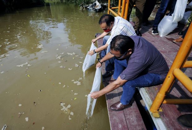 Jeti Ikan Sungai Udang