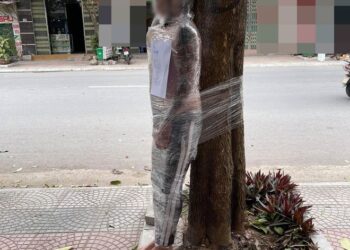 GAMBAR lelaki tanpa pakaian dibalut dengan plastik dan diikat pada pokok kerana gagal membayar hutang tular dalam media sosial di Vietnam. - AGENSI