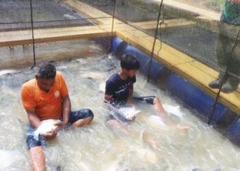 HAMIZI Abdul Hamid (kiri) dan Mohd. Alip Ridzuan bermain dengan ikan kerai di sangkar di Kampung Kelola di Jerantut, Pahang. - UTUSAN/SALEHUDIN MAT RASAD