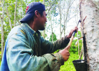 Kerajaan dicadang menggantikan panggilan penoreh getah kepada operator pengeluaran getah bagi menarik minat golongan muda menceburi komoditi itu.