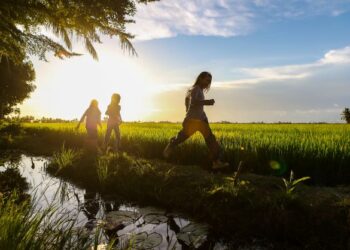 PROJEK Smart SBB dikhuatiri lebih membawa keburukan kepada pesawah dan mereka yang terlibat dalam bidang pertanian padi apabila dimonopoli oleh syarikat swasta. - UTUSAN/SHAHIR NORDIN