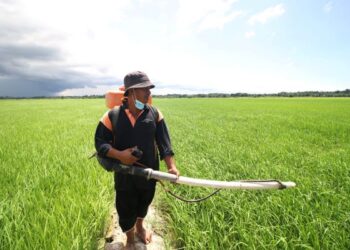 Isu tanah bendang murah  menjadi rebutan kontraktor untuk menjalankan projek perumahan di Kedah perlu perhatian serius daripada kerajaan agar nasib pesawah terbela. – GAMBAR HIASAN/ABDUL RASHID ABDUL RAHMAN