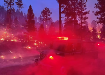 KEADAAN hutan di New Mexico yang terbakar dan diselubungi asap tebal. - MCBRIDEFIRE 2022