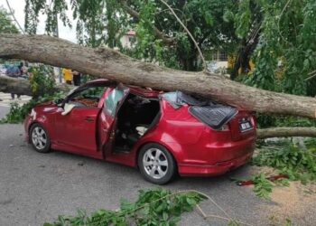 KEADAAN rumah Nor Shahidah Ratmat selepas dihempap pokok kelapa ekoran hujan lebat dan ribut kuat di Kampung Bukit Kuang, Kemaman. - NIK NUR IZZATUL HAZWANI NIK ADNAN