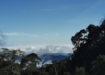 BUKIT Fraser juga kaya dengan alam semula jadi yang perlu dikekalkan keasliannya. - IHSAN PERSATUAN ALAM & WARISAN BUKIT FRASER