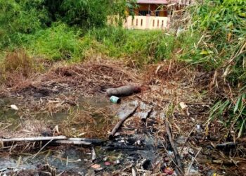 KEADAAN berhampiran rumah penulis selepas pihak Jabatan Perhilitan Batu Pahat menembak babi hutan yang berkeliaran, baru-baru ini.