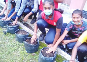 TAMAN pertanian yang dibina di sekolah boleh menjadi medan lapangan bagi pelajar memahami tentang bahaya racun perosak dan bahan kimia.