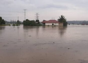 KAWASAN sawah di Paya Luboh, Melaka ditenggelami air banjir berikutan hujan lebat sejak kelmarin. - UTUSAN/AMRAN MULUP