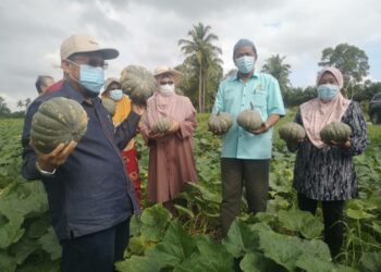 CHE Abdullah Mat Nawi (kiri) bersama petani di kebun labu di Kampung Kandis, Bachok, hari ini.