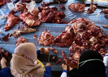 HARGA lembu dan kambing yang jauh lebih murah antara faktor mendorong rakyat negara ini melakukan korban di luar negara.