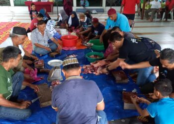 PENDUDUK kampung bergotong-royong memotong daging lembu untuk diagih-agihkan di Masjid Lama Batang Tiga, Klebang, Melaka. - UTUSAN/AMRAN MULUP