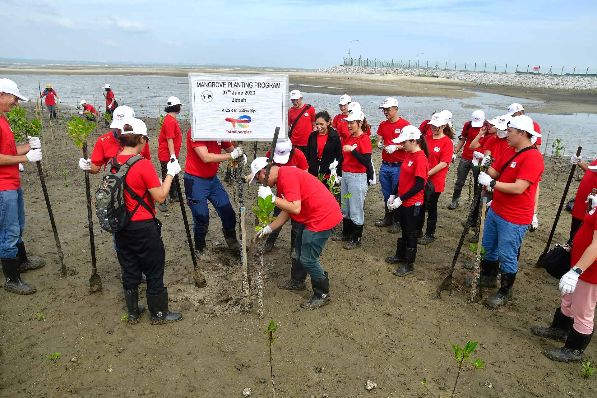 TotalEnergies, MNS bekerjasama dalam projek pemulihan bakau