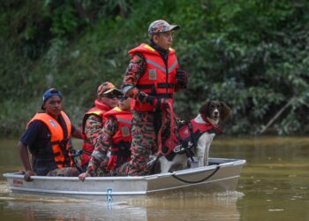 ANJING pengesan digunakan dalam operasi mencari dan menyelamat (SAR) mangsa tragedi kepala air di Jeram Air Putih, Kemaman, Terengganu, baru-baru ini. –  UTUSAN/PUQTRA HAIRRY