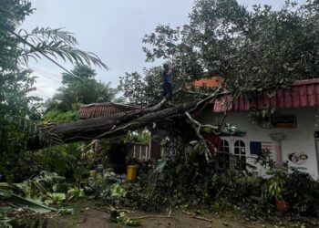 KEADAAN sebuah rumah yang dihempap pokok dalam kejadian ribut di Kampung Gaung, Kuala Berang, Hulu Terengganu - UTUSAN/NOOR HAYATI MAMAT