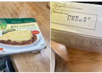 BUNGKUSAN lasagna yang sudah tamat tarikh luput pada Mac 1997. - AGENSI