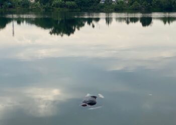 MAYAT lelaki ditemukan terapung di lombong di Taman Rasi Jaya dekat Menglembu, Ipoh hari ini. - UTUSAN/IHSAN PDRM