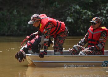 Anggota bomba dan penyelamat menggunakan dua ekor anjing K9 untuk mencari baki mangsa kepala air di Jeram Mawar di Air Putih Kemaman semalam.