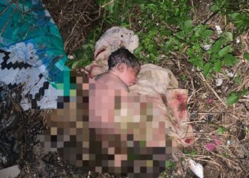 BAYI perempuan baru dilahirkan yang dijumpai dibuang di belakang rumah di Kamunting, Taiping semalam. - UTUSAN/MEDIA SOSIAL