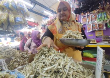 NURUL Amanina Damia Abu Seman mengambil ikan bilis mata biru keluaran Tanjung Dawai yang ditempah pelanggan di Arked Niaga Tanjung Dawai di Merbok, Kedah. - UTUSAN/ NUR SYAZWANA MANSOR