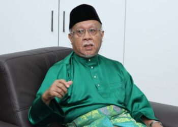 WAN ZAHIDI WAN TEH