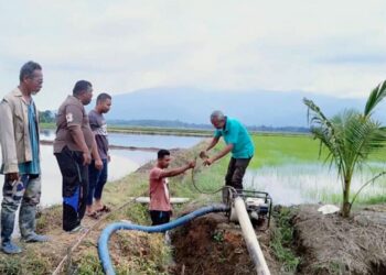 AZIZAN Md. Zaid (kiri) bersama pesawah lain melihat usaha penduduk membaiki mesin pam air semasa ditemui di sawah di Kampung Bujang, Merbok baru-baru ini. – MINGGUAN/OTHMAN YAHAYA