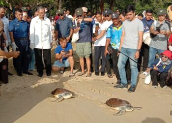 MOHAMMAD Nizar Jamaluddin (tengah) melepaskan penyu Agar yang dipelihara selepas menetas di Pusat Konservasi dan Penerangan Penyu Teluk Ketapang, Pulau Pangkor, ke laut. - UTUSAN