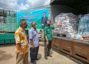 PELANTIKAN Penyelaras Parlimen dalam kalangan orang parti dapat mengesan dan memudahkan
penyaluran peruntukan dan bantuan. – GAMBAR HIASAN