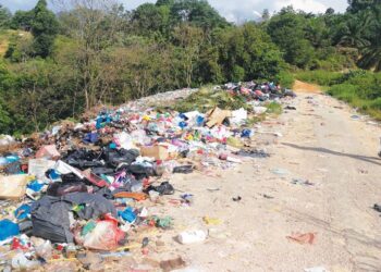 SEORANG penduduk melalui jalan di kawasan yang menjadi tempat pembuangan sampah haram di Felda Cherul, Kemaman, Terengganu. - UTUSAN NIK NUR IZZATUL HAZWANI NIK ADNAN