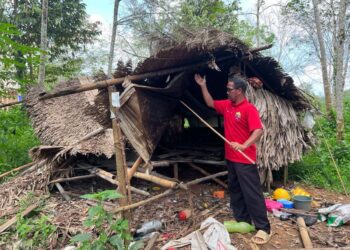 RAINA Anjang menunjukkan sebuah rumah penduduk yang dirosakkan gajah liar di Kampung Aring 5, Gua Musang, Kelantan. - UTUSAN/AIMUNI TUAN LAH