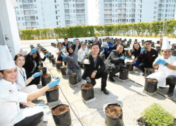 DUA batang pokok matang boleh menghasilkan jumlah oksigen yang hampir sama dengan keperluan
seorang individu dewasa.