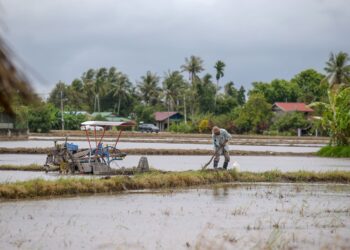 Para pesawah mesti dibebaskan daripada isu monopoli dan ‘orang tengah’ yang menghimpit golongan tersebut sejak puluhan tahun lalu.