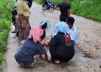 PENDUDUK memberikan bantuan kepada mangsa dipijak gajah dalam kejadian di Gerik semalam. - UTUSAN/MEDIA SOSIAL