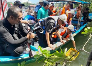 MOHAMED KHALED NORDIN melepaskan benih ketam nipah di Sungai Sedili Kecil di Kota Tinggi.