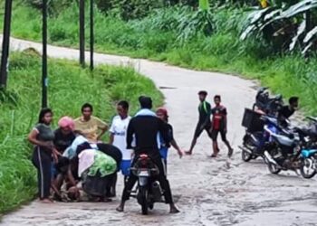 SEORANG wanita Orang Asli maut dipercayai akibat dipijak gajah liar di Kampung Bal, Rancangan Penempatan Semula (RPS) Kemar, Gerik, semalam.- UTUSAN/MEDIA SOSIAL